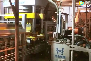 虎鼎靜壓磚機生產(chǎn)植草磚 水工磚視頻